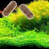 KANEIDALINNA 40 Pieces Root Tabs Organic Aquarium Plant Fertilizer view 3