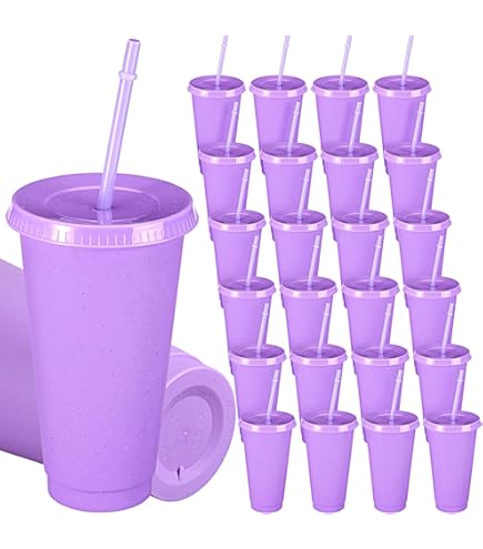 Amazon.com: LEIFEOSH 24 Pack Plastic Tumblers with Lids and Straw, Reusable  Cups with Lids and Straws Colorful Cups for Cold Drink Iced Coffee, Plastic  Tumbler Bulk for Party Birthday Gifts (24 oz,