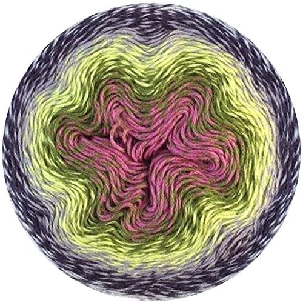 Scheepjes Whirl 1000 m - 770 Black Forest Zinger