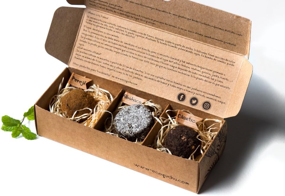 Pack 6 bombas de semillas aromáticas (6, 6 bombas de semillas ...