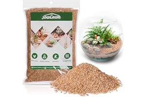 Jowlawn Coarse Silica Sand 3lb Succulent Rocks Stones Potting Horticultural Grit Cactus Bonsai Soil, Decorative Rocks Gravel for Potted Plant, Fairy Garden, Aquarium, Terrarium, DIY