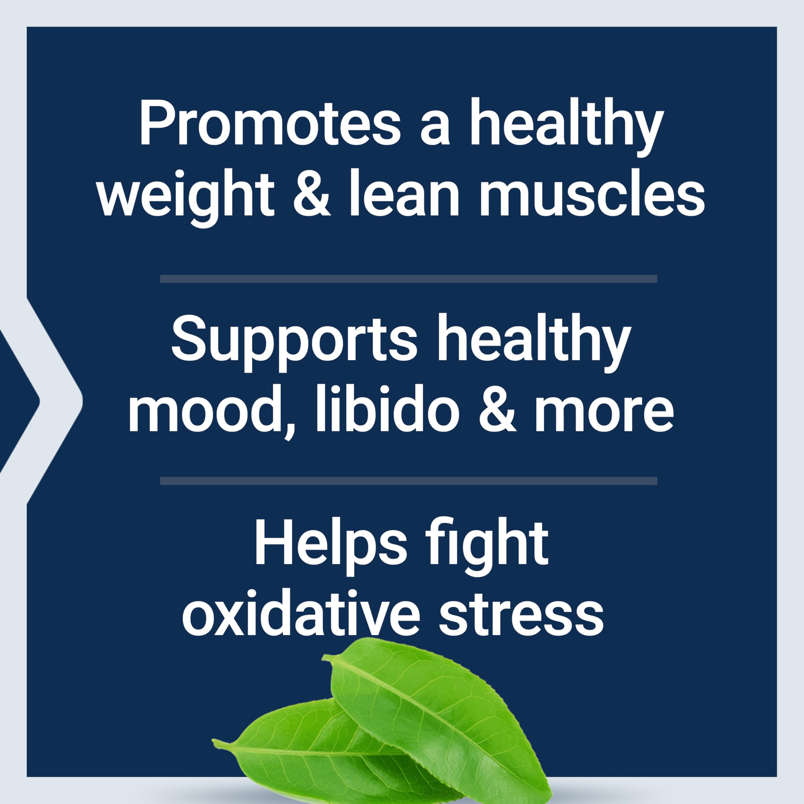 Life Extension DHEA and 7-Keto DHEA Complete Vegetarian Capsules to Maximize Support of a Healthy Body Weight & Mood, Lean Muscle Mass, Libido & More, Non-GMO, Gluten-Free, 60 Count