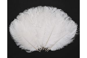 Hollosport 30PCS Bulk White Ostrich Feathers 10-12 Inches for Centerpieces Party Wedding Home Decorations Dream Catchers Vases Crafts Christmas Tree (White)