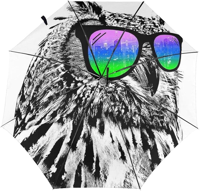 owl with sunglasses