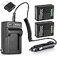 Kastar GOPRO3 Battery (2-Pack) and Charger Kit for GoPro HD HERO3, HERO3+, AHDBT-302 Work with GoPro AHDBT-201, AHDBT-301, AHDBT-302