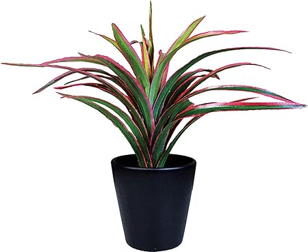 Amazon Co Jp ケーアイジャパンインテリアグリーン 光触媒 造花 観葉植物ドラセナw25 D52 H21cm ギフトボックス入り Ts ドラッグストア