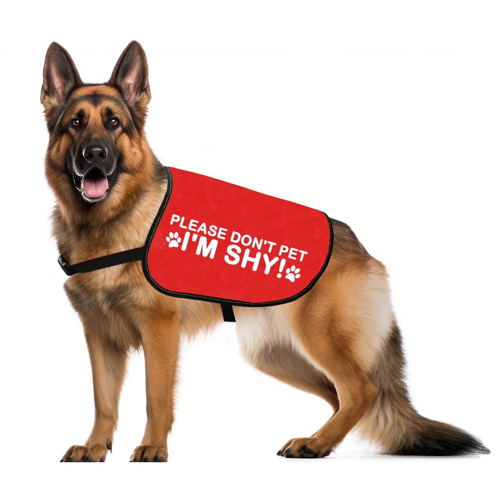 Please Don’t Pet I'm Shy Dog Jacket Vest Anxious Dogs Walking Slogan Warning Vest (Please -I’m shy M)