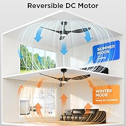 Roomratv Ceiling Fans with Lights, 52 Inch Ceiling