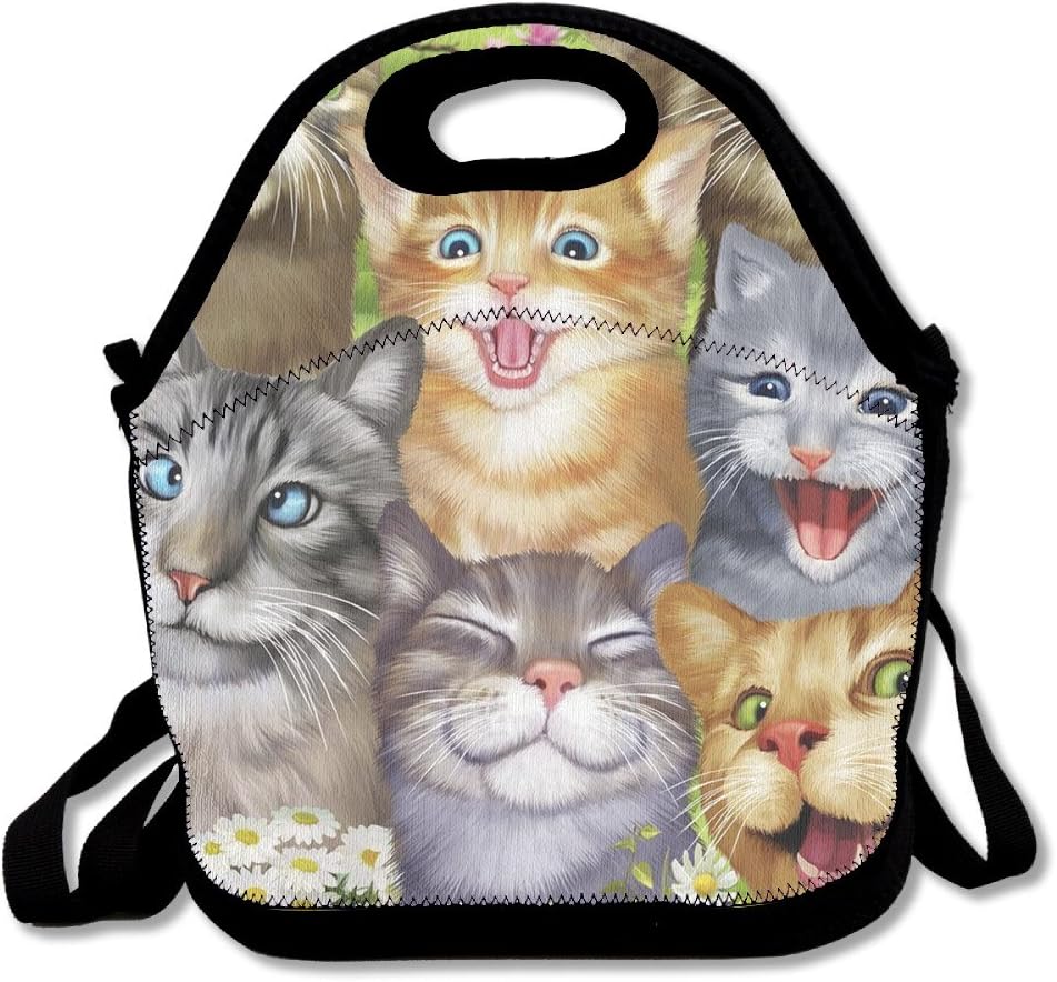 Funny Cats Selfie Lunch Boxes Waterproof Picnic Lunchboxes With Zipper And Adjustable Crossbody Strap Cool