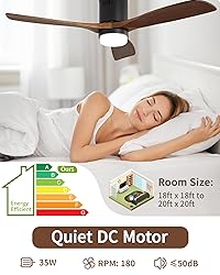 CACI Mall 52" Ceiling Fan with Lights, Flush Mount