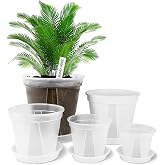 GREENPARA Clear Plant Nursery Pots with Saucer for Indoor &amp; Outdoor Plants | 4/5/6/7/8 Inch Drainage Holes Root Observation Visible Soil Moisture Transparent Material