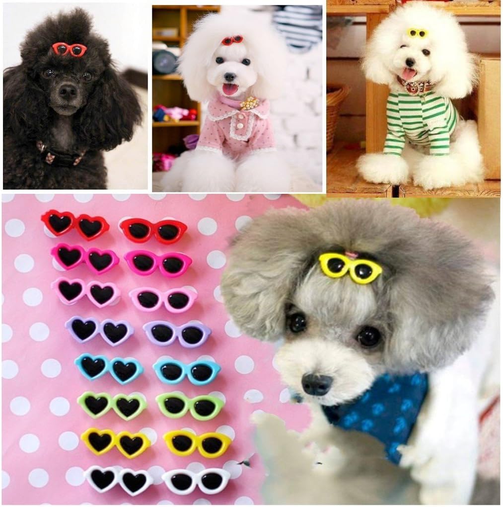 dog hair accessories