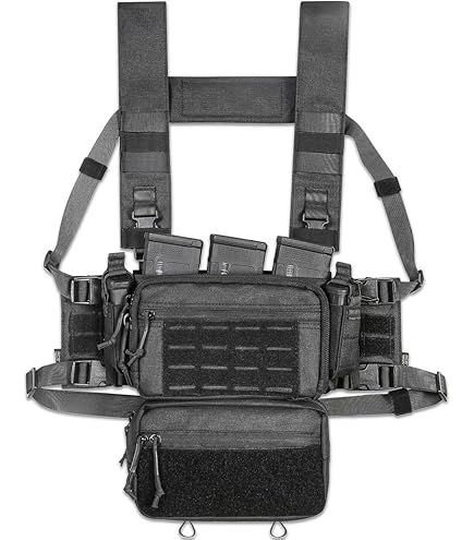 Amazon.com : BLACKHAWK Omega Elite M16 Mag Pouch : Gun Ammunition