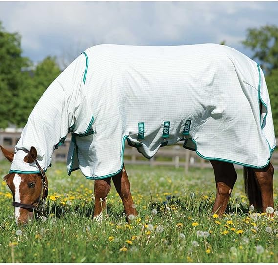 Best Horse Fly Sheets With Belly Band Best Horse Rider