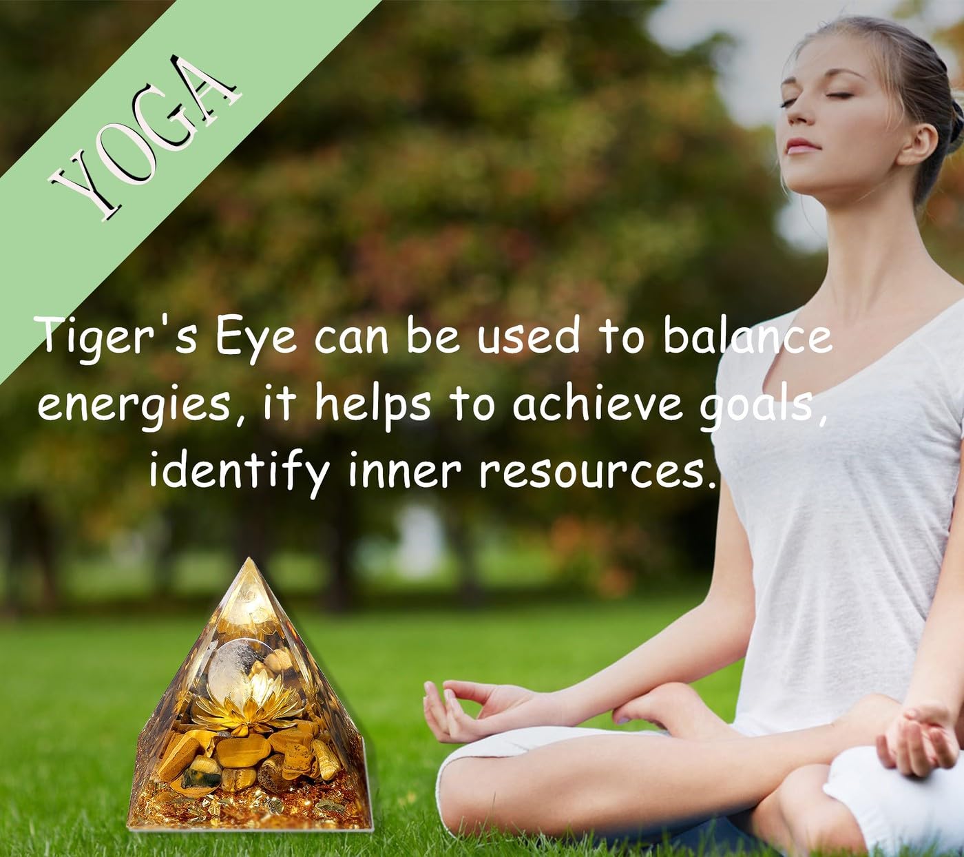View 5