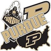 Desert Cactus Purdue University Sticker Boilermakers Vinyl Decals Laptop Water Bottle Car T2 (Type 2-3)