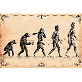 Laminated Human Evolution Poster Man Ape Evolutionary Picture Homeschool Man Walking Upright Vintage Decorations Poster Dry Erase Wall Art 16x24