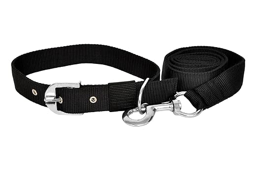 VIP COLLECTION Strong Nylon Everyday Dog Collar Leash Set Color - Black Medium