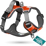 Embark Pets Adventure Dog Harness XL Orange Front Back Leash Attachments