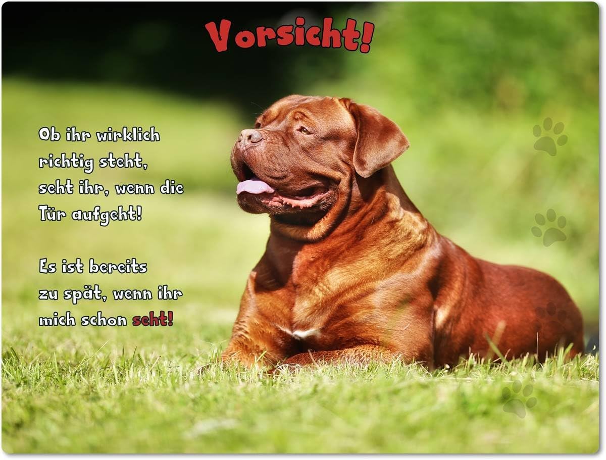 Warnschild Aus Aluminium – Motiv „Bordeaux Dogge Security“, 20x30 Cm, Wetterfest, Mit 4 Bohrungen, Made In Germany