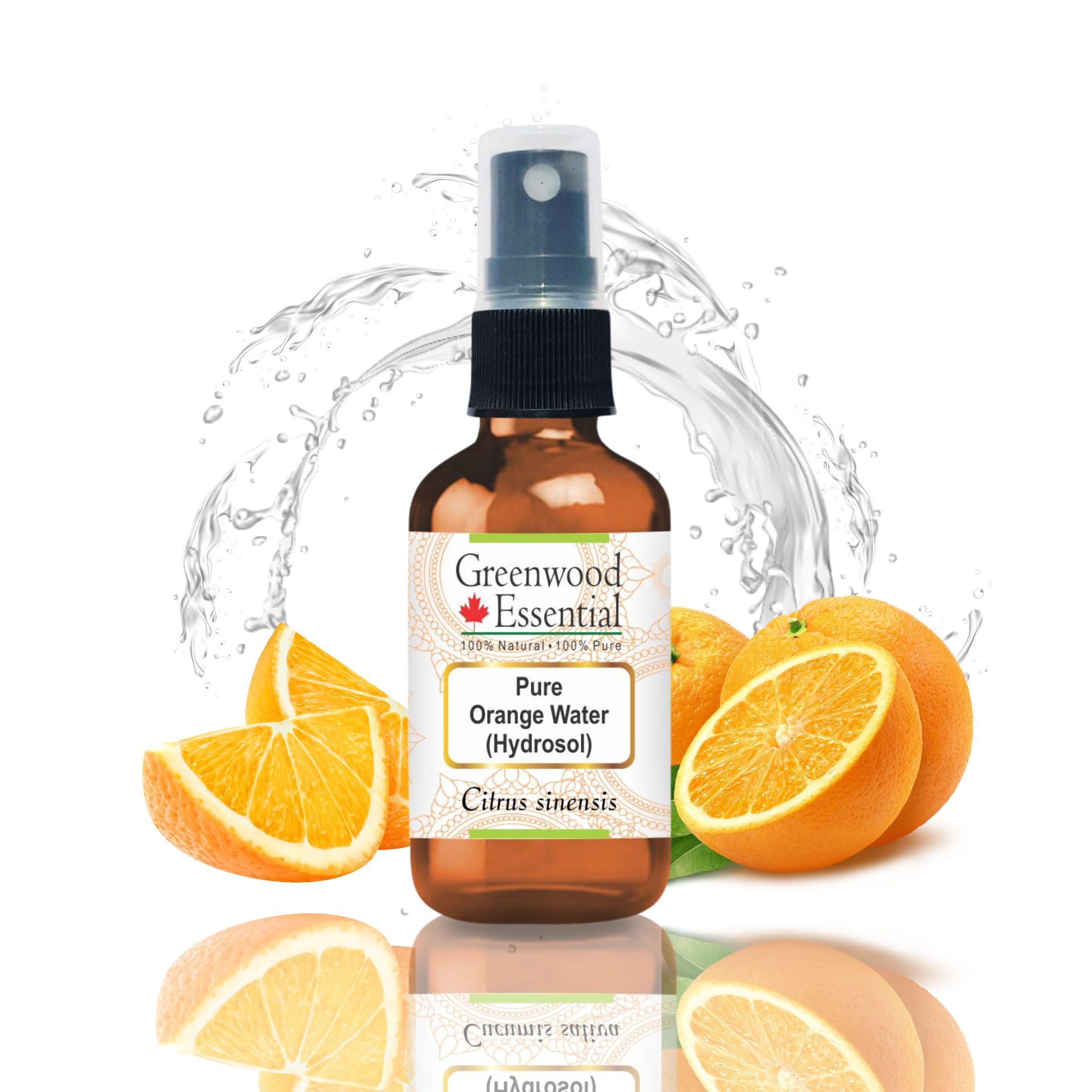 Greenwood Essential Pure Orange Floral Water (Hydrosol) (Citrus sinensis) 100% Natural Therapeutic Grade 50ml (1.69 oz)