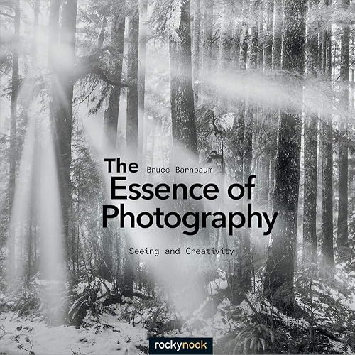 Download The Essence of Photography PDF