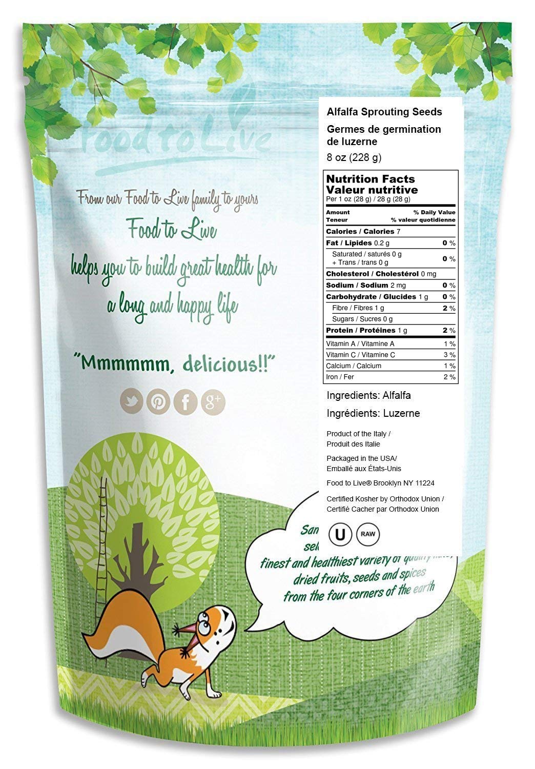 Alfalfa Seeds, 8 Ounces - For Growing Sprouts, Kosher: Grocery & Gourmet Food