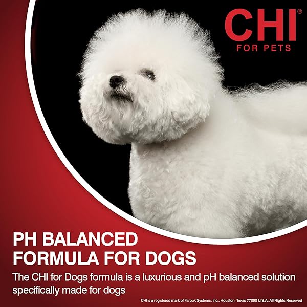 CHI FOR DOGS DETANGLING FINISHING SPRAY – BEST LEAVE-IN SOLUTION FOR TANGLES AND KNOTS – DOG GROOMING MIST FOR PUPPIES AND ADULTS – SULFATE AND PARABEN FREE – MADE IN USA, 10 FL OZ