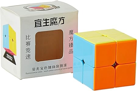 Stylezit 2x2 Stickerless Speed Cube