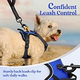 rabbitgoo Dog Harness Small No Pull Adjustable Reflective Blue XS view 7
