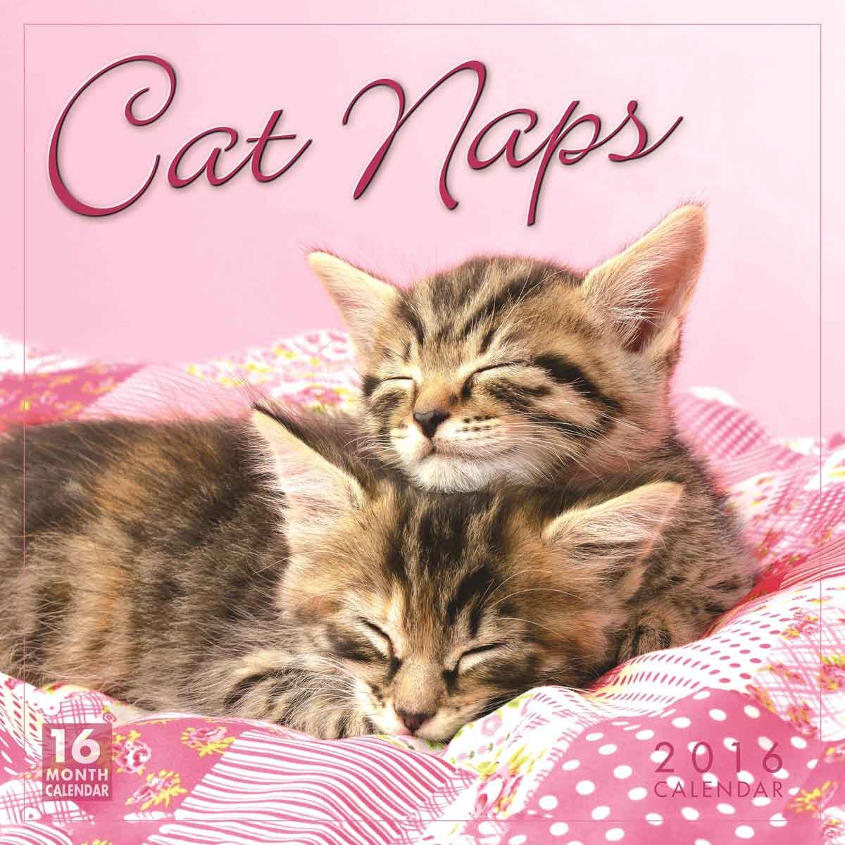 Cat Naps 2016 Calendar