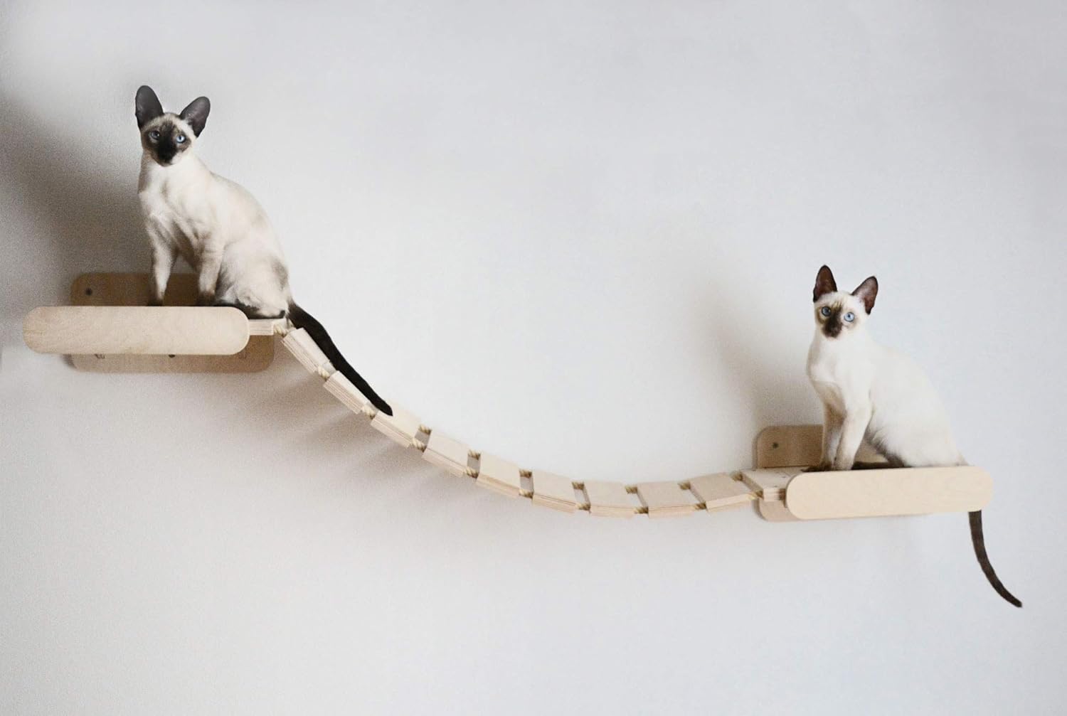 Habicat It Pont Tibetain Pour Mur Equipement Pour Chats En Bois Corde Et Griffoir En Sisal Amazon Fr Animalerie