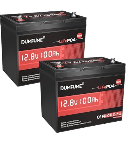 Amazon.com: MFUZOP 12V 100Ah LiFePO4 Lithium Batteries