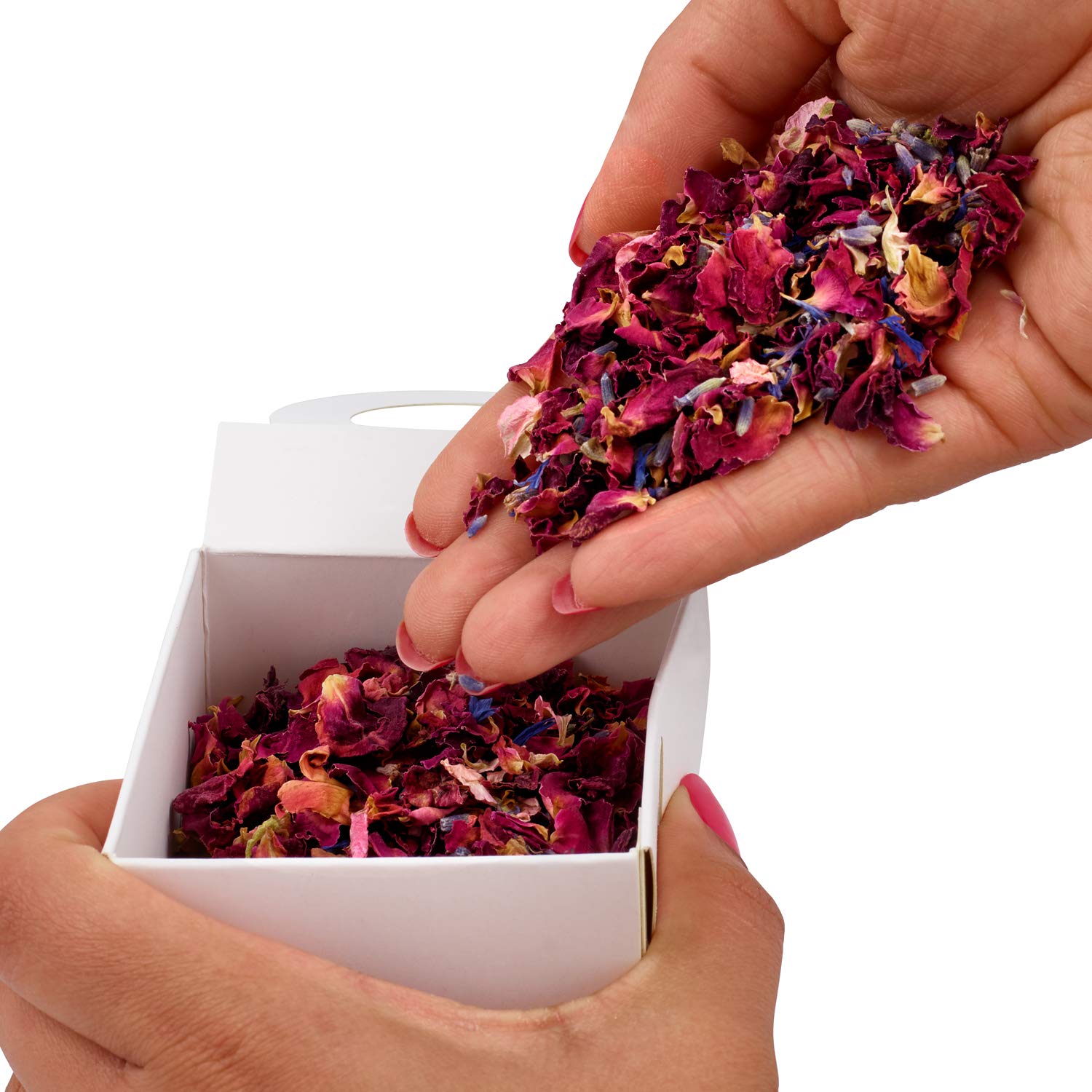 Biodegradable Wedding Confetti | Dried Flower Mix - Rose Petals, Dried Lavender & Cornflower Petals | Eco-Friendly & 100% Biodegradable (3. Signature Burgundy, 2 Litre Box with 24 Confetti Bags)