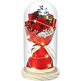 HVY Preserved Flowers Bouquet for Her,Forever Flowers Fresh Bouquet Mothers Day Birthday Gifts for Mom Preserved Rose Gifts for Women Wife Girlfriend Red Eternal Rose Present