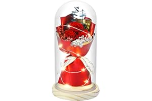 HVY Preserved Flowers Bouquet for Her,Forever Flowers Fresh Bouquet Mothers Day Birthday Gifts for Mom Preserved Rose Gifts for Women Wife Girlfriend Red Eternal Rose Present