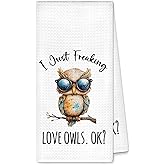 SHQIEUDH Funny Owl Kitchen Towels, Owl Gifts for Women Dish Towels Tea Towel, Woodsy Animals Hand Towel Decorative for Bathroom Kitchen, 16x24 Inches
