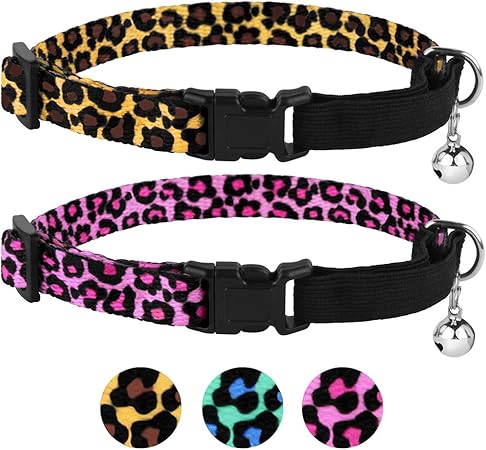 leopard print cat collar