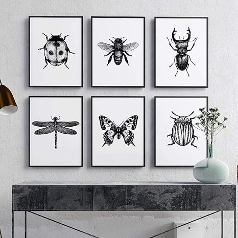 Amazon Co Jp 昆虫イラスト黒と白の壁アートキャンバス絵画蝶蜂昆虫ポスターとプリント壁の写真家の装飾 30x42cmx6pcs フレームなし ホーム キッチン