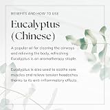 Nikura Eucalyptus Essential Oil 10ml Pure Natural Oil UK Made Vegan view 6