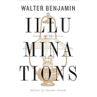 Illuminations: Essays and Reflections book cover