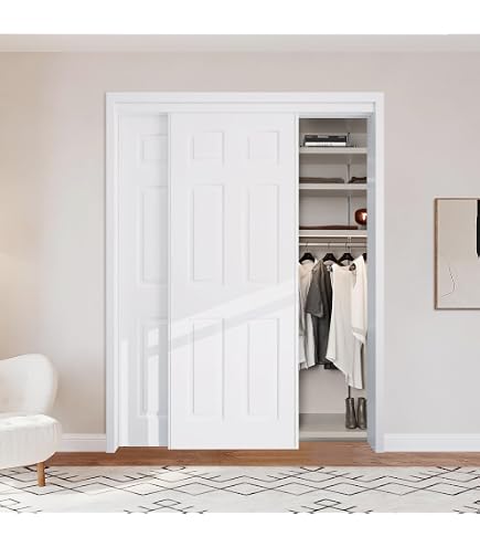BARNSMITH 60x80 in Raised Textured 6-Panel Bypass Hollow core
