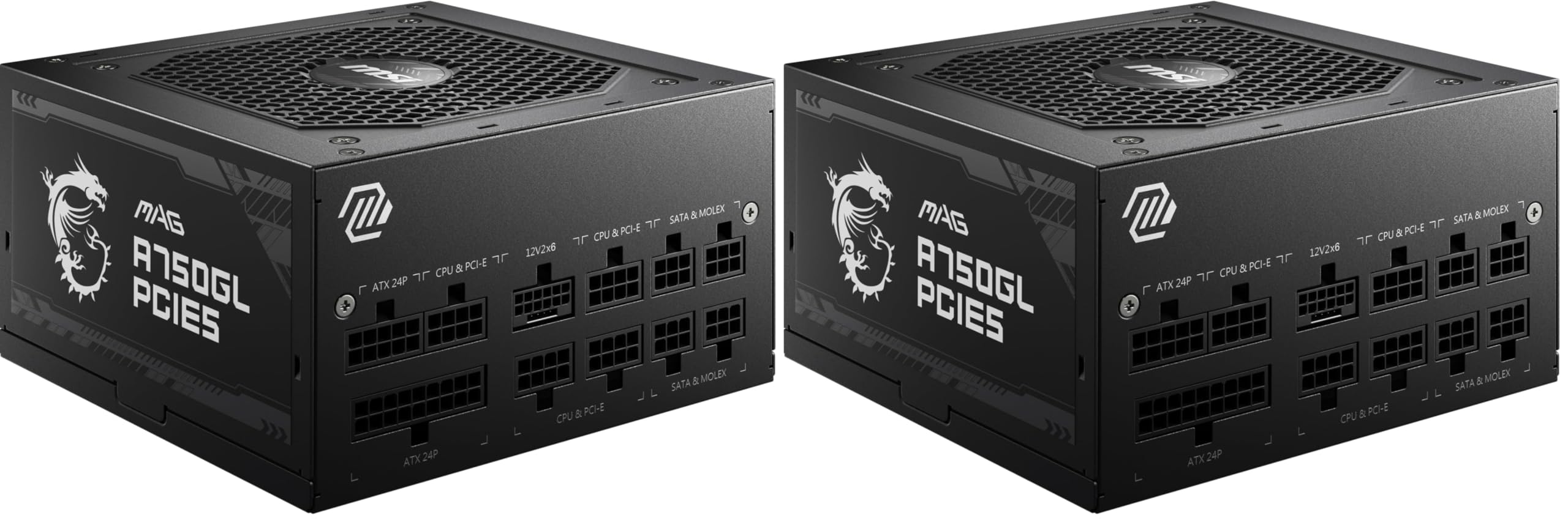 MSI MAG A750GL PCIE5 - EU Cord (Pack of 2) Image