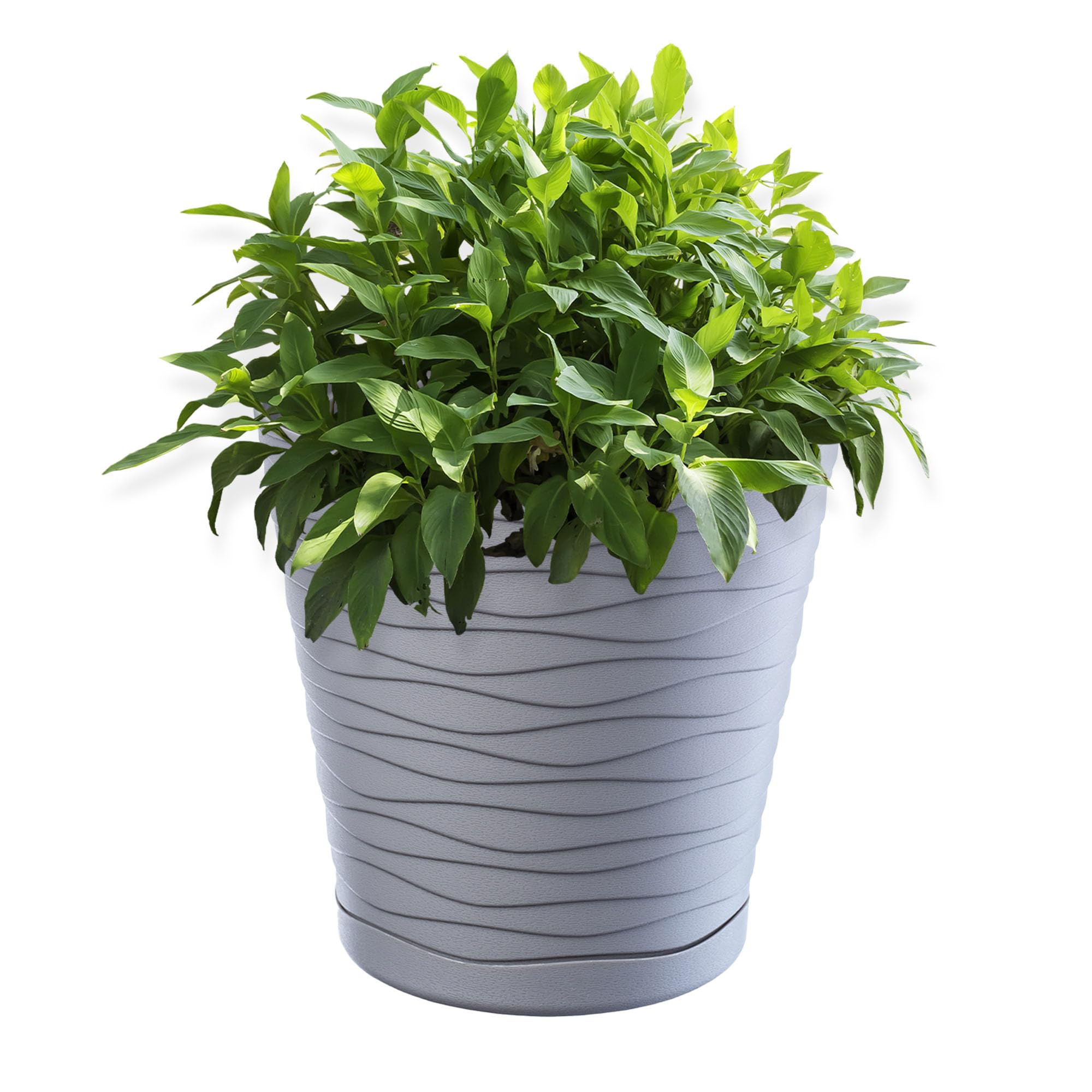 KADAX Plastic Flowerpot, Indoor Plant Pot with Saucer, Lightweight Flower Pot in Several Colours and Sizes, Unique Planter for Houseplants (13 cm, Grey)