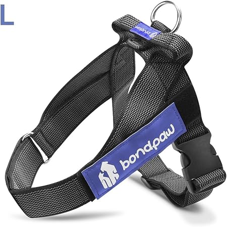 zesty paws calming bites review