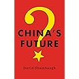 China's Future