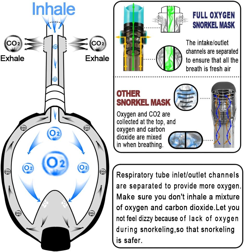 WSTOO Snorkel Mask with Latest Dry Top Breathing System, Fold 180 Degree Panoramic View Full Face Snorkel Mask Anti-Fog Anti-Leak with Camera Mount, Snorkeling Gear for Adults : Sports & Outdoors
