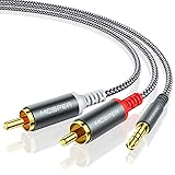 MCSPER RCA to 3.5mm AUX Cable, (6.6 Feet) 3.5 mm