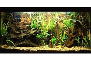 ZATIASMILLER Underwater Aquarium Background Aquatic Plants Stone Bed Fish Tank Background Undersea Tropical Aquatic Wood Branches Aquarium Fish Background Underwater Wood Sands Sea Grass Tank Wallpaper 24x16in