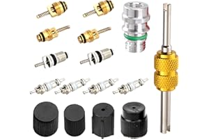 DYEKNEE 16 PCS Car Air Conditioning Valve Core Accessory, R134a R12 Valve Core Repair Kit, A/C System Port High and Low Press